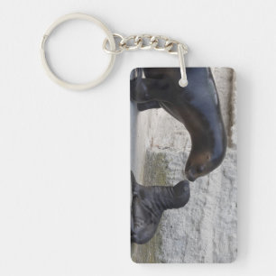 Otaria flavescens sleutelhanger