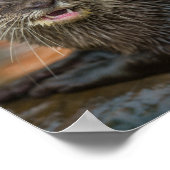 otemaandelijkse verrassingen poster (Hoek)