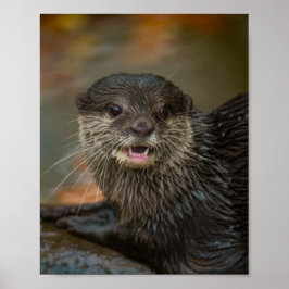 otemaandelijkse verrassingen poster