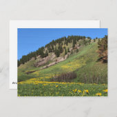 Otis-briefkaart monteren briefkaart (Voorkant / Achterkant)