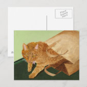 Otis the Cat Briefkaart (Voorkant / Achterkant)