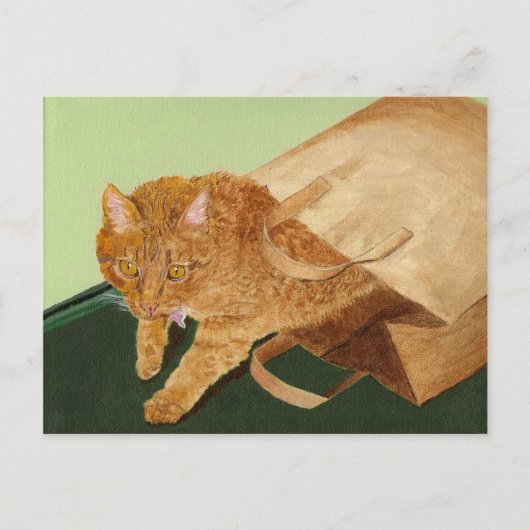 Otis the Cat Briefkaart (Voorkant)