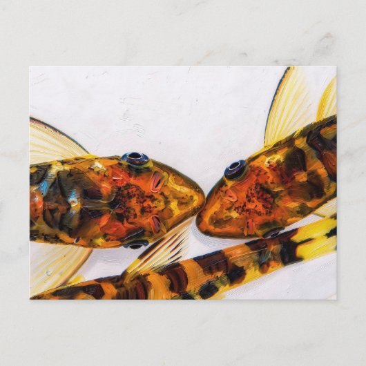 Otocinclus zebra aquarium briefkaart (Voorkant)