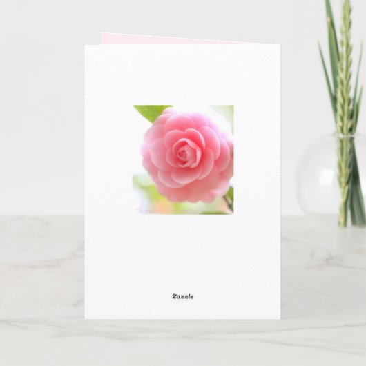 Otome-tsubaki: Camellia [Greeting Card] Kaart (Achterkant)