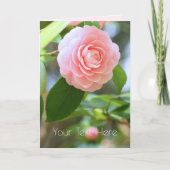 Otome-tsubaki: Camellia [Greeting Card] Kaart (Voorkant)
