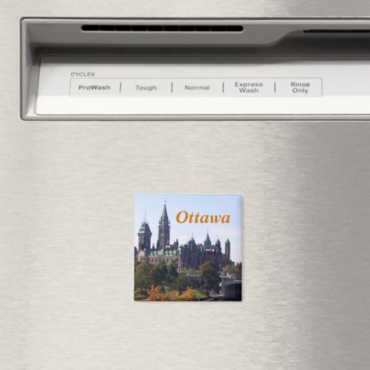 Ottawa magnet (Insitu (Vaatwasser))