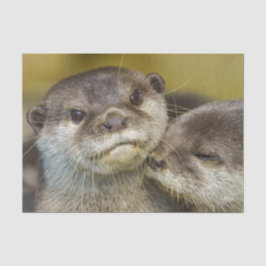 Otten in liefde tissuepapier