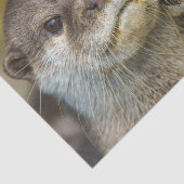 Otten in liefde tissuepapier (Detail)