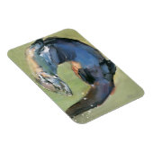 otter 2003 magneet (Rechterzijde)