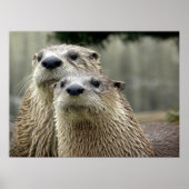 Otter Absurdity Poster (Voorkant)