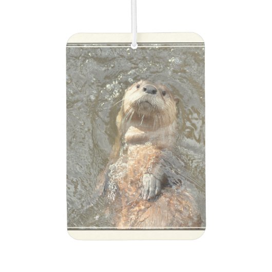 Otter achtervlotter luchtverfrisser (Voorkant)