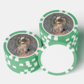 Otter achtervlotter pokerchips (Opstapeling)