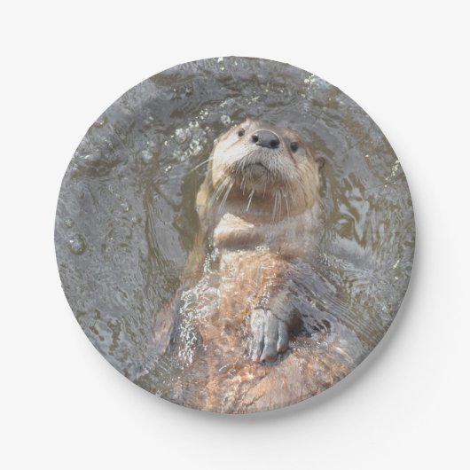 Otter Back Float Papieren Bordje (Voorkant)