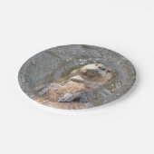 Otter Back Float Papieren Bordje (Gekanteld)