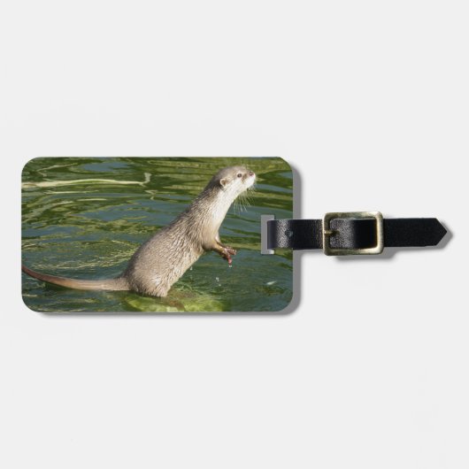 Otter bagagelabel (Voorkant horizontaal)