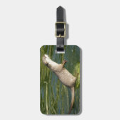 Otter bagagelabel (Voorkant verticaal)