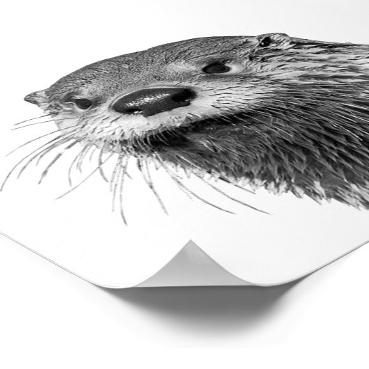 Otter Black White Cabin Nursery Photo Poster (Hoek)