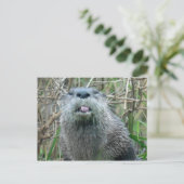 Otter Briefkaart (Staand voorkant)