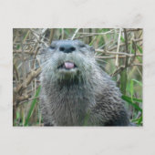 Otter Briefkaart (Voorkant)