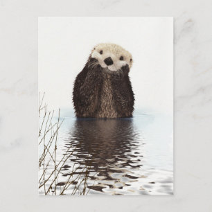 otter briefkaart