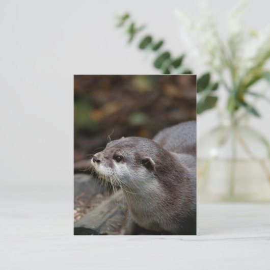 otter briefkaart (Staand voorkant)