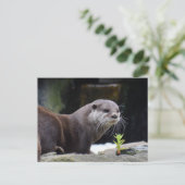 otter briefkaart (Staand voorkant)