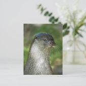 Otter Briefkaart (Staand voorkant)