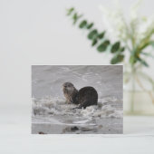 Otter Briefkaart (Staand voorkant)