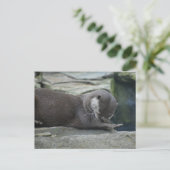 otter briefkaart (Staand voorkant)