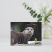otter briefkaart (Staand voorkant)
