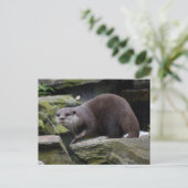 otter briefkaart (Staand voorkant)