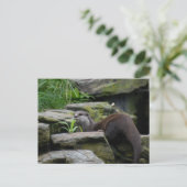 otter briefkaart (Staand voorkant)