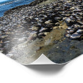 Otter Crest Beach Oregon Foto Afdruk (Hoek)