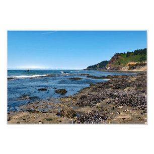 Otter Crest Beach Oregon Foto Afdruk
