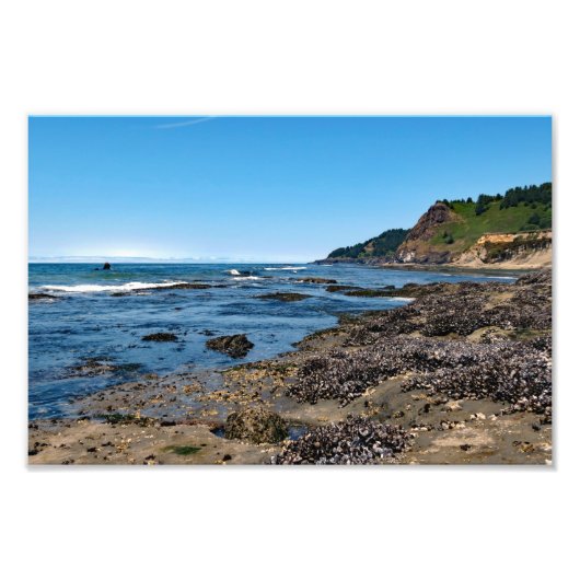 Otter Crest Beach Oregon Foto Afdruk (Voorkant)
