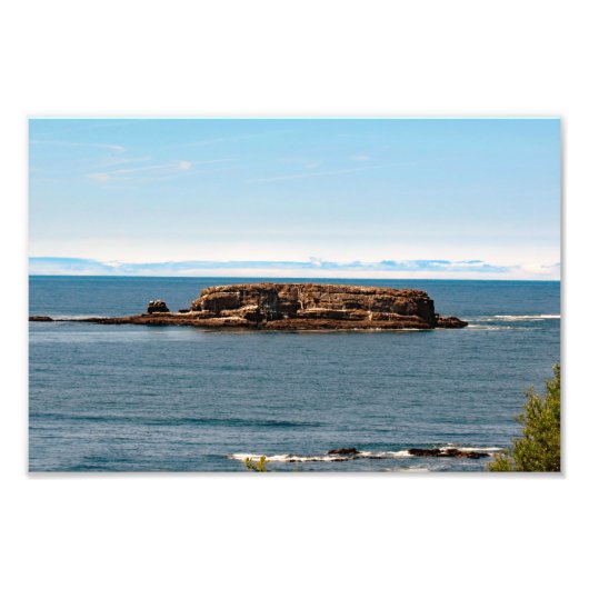 Otter Crest Beach Oregon Foto Afdruk (Voorkant)