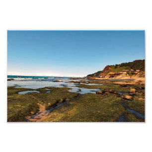 Otter Crest Beach Oregon Foto Afdruk