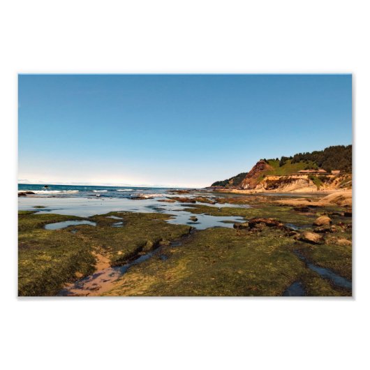 Otter Crest Beach Oregon Foto Afdruk (Voorkant)