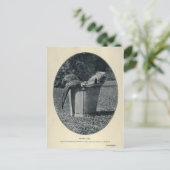 Otter Cubs Briefkaart (Staand voorkant)