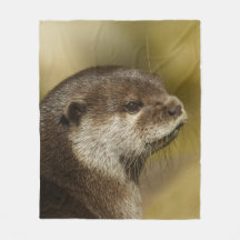 Otter die over zijn schouder kijkt