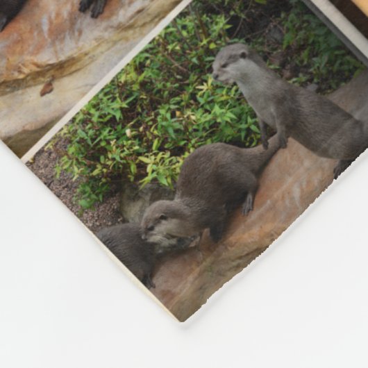 otter drie Afbeelding collage, klein Fleece Deken (Hoek)