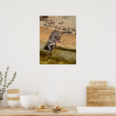 Otter Eating Fish by Pond, Poster (Keuken)