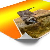 Otter Eating Tasty Fish Popout Art, Poster (Hoek)