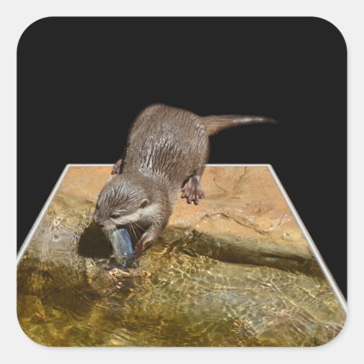 Otter Eating Tasty Fish Popout Art Square Stickers (Voorkant)