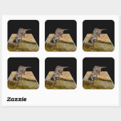 Otter Eating Tasty Fish Popout Art Square Stickers (Vel)