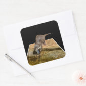 Otter Eating Tasty Fish Popout Art Square Stickers (Envelop)