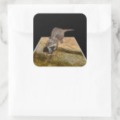 Otter Eating Tasty Fish Popout Art Square Stickers (Tas)