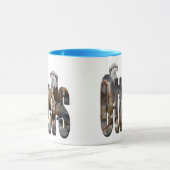 otter en otters Logo, Mok (Midden)