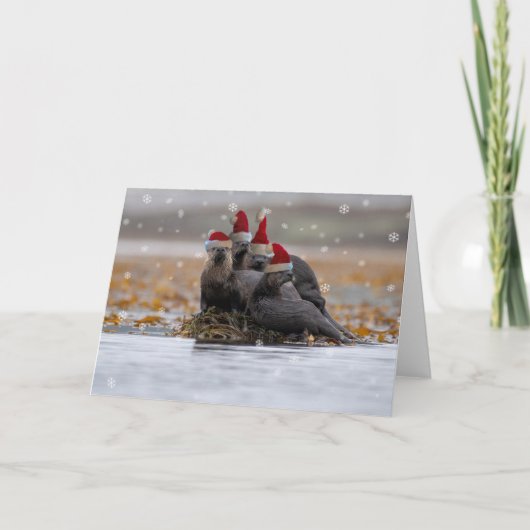 Otter familie Kerstmis Kaart (Voorkant)