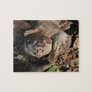 otter foto legpuzzel